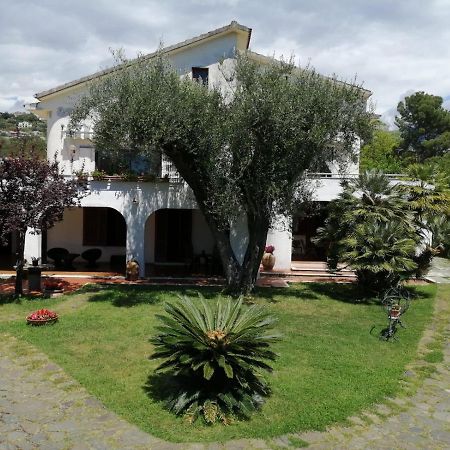 Villa Livia Villammare Ngoại thất bức ảnh