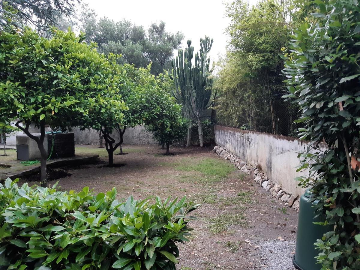 Villa Livia Villammare Ngoại thất bức ảnh