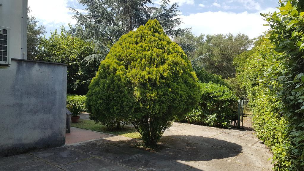 Villa Livia Villammare Ngoại thất bức ảnh