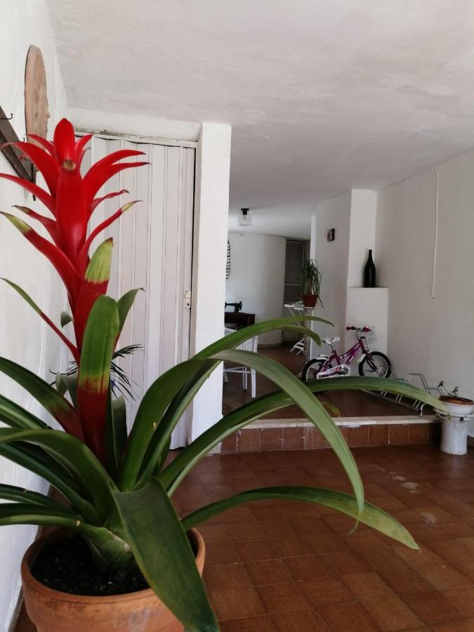 Villa Livia Villammare Ngoại thất bức ảnh